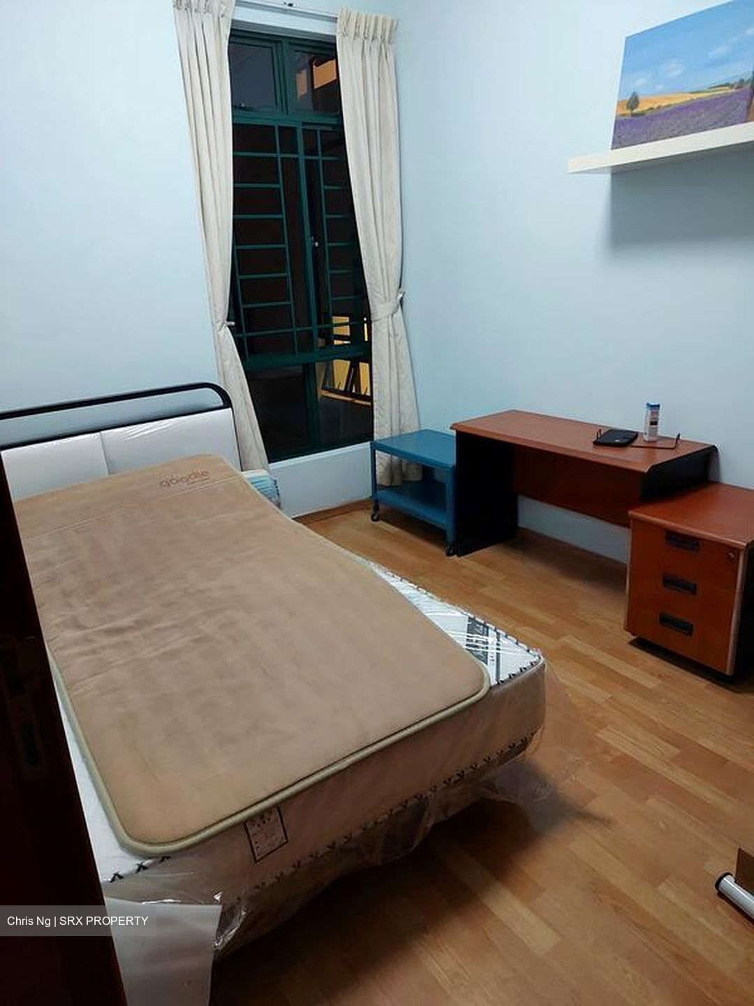 Parc Palais (D21), Condominium #520742831